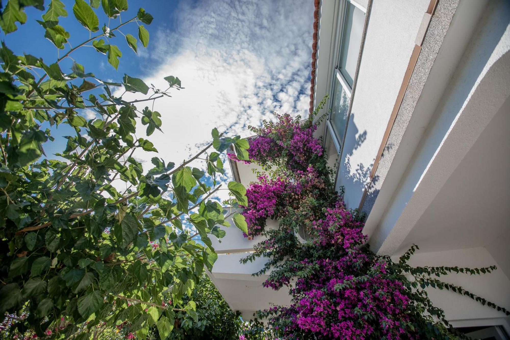 Apartman Rosa Supetarska Draga Exteriör bild